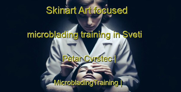 Skinart Art-focused microblading training in Sveti Petar Cvrstec | MicrobladingTraining | MicrobladingClasses | SkinartTraining-Croatia